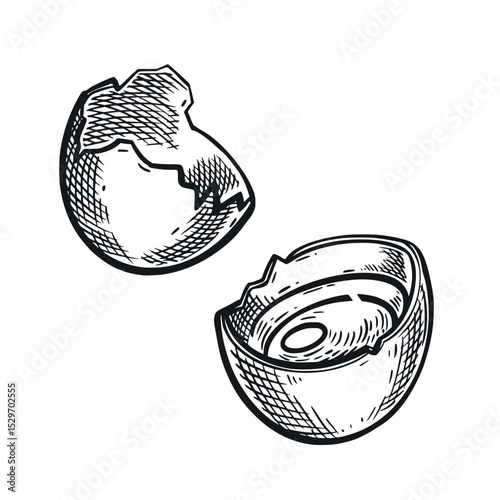Broken chicken egg with yolk, shell, hand drawn in vector in dark gray. Vector illustration. Suitable for food packaging design, printing on fabric, paper, creativity.