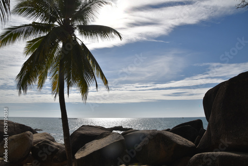 Fototapeta Naklejka Na Ścianę i Meble -  The sun sets over the ocean with palm trees
