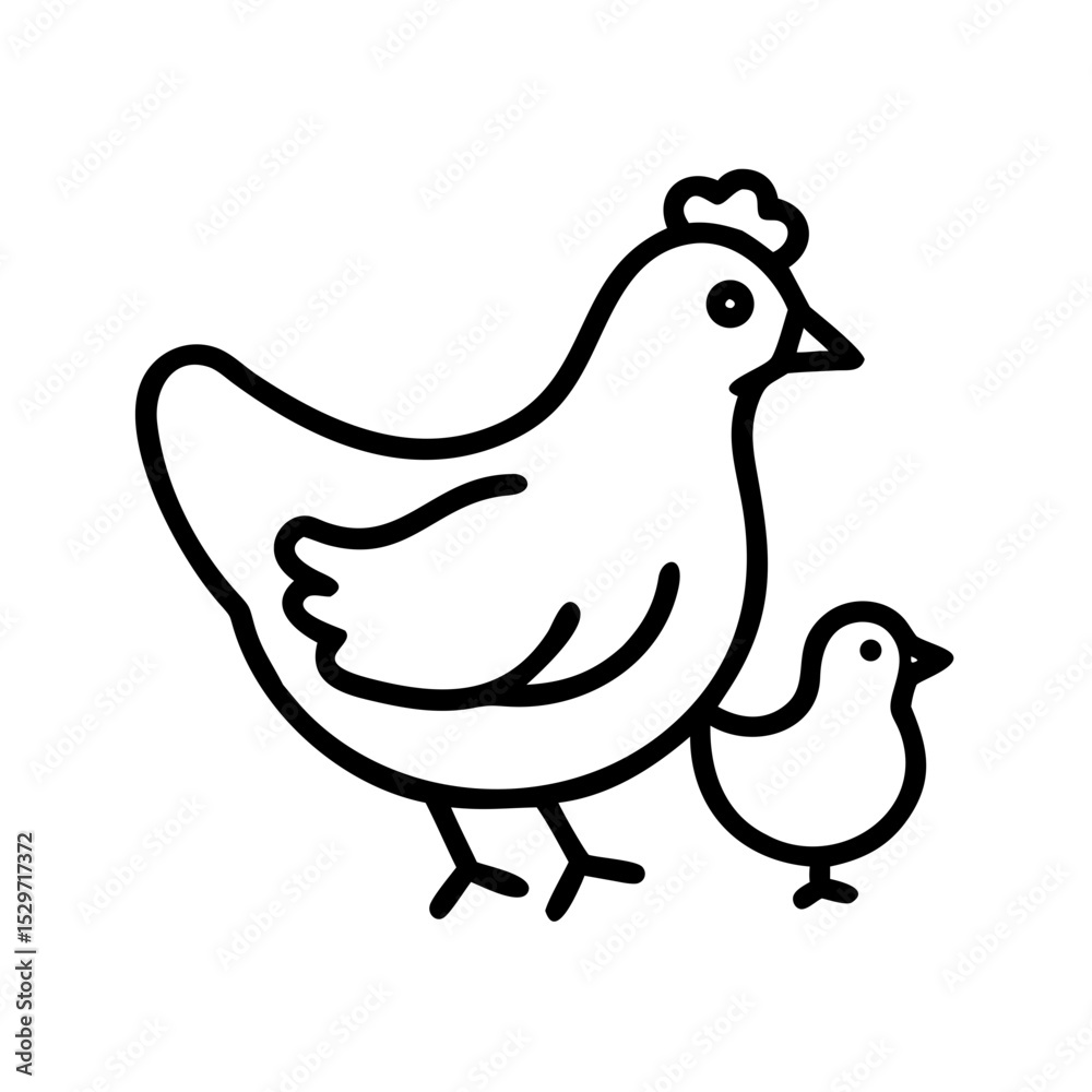 Fototapeta premium Hen and Chick Walking Together on a Sunny Day in an Outdoor Setting