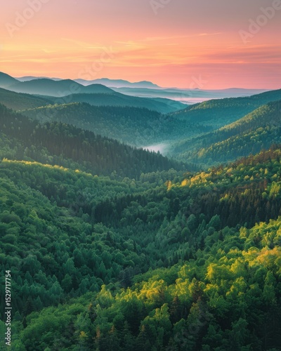Scenic mountain forest landscape at sunrise