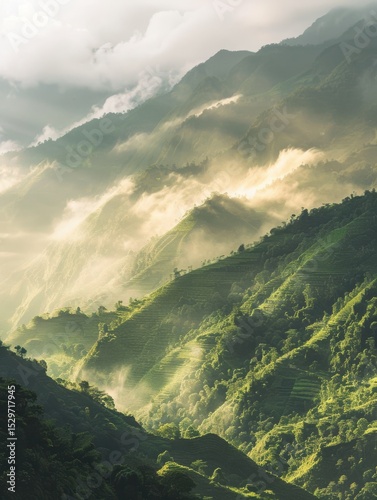 Lush green mountain landscape with fog stock