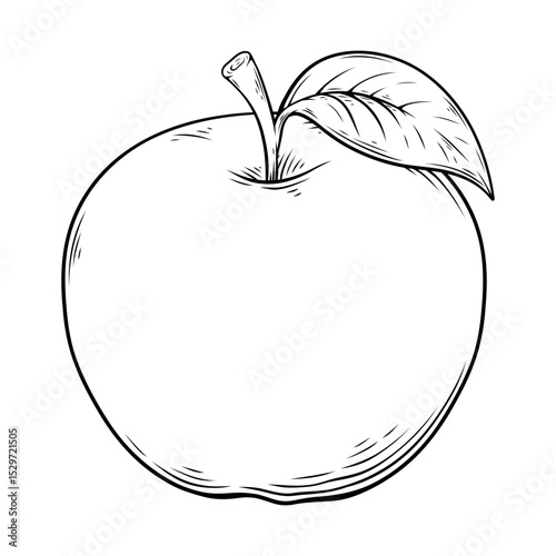 line art drawing illustration of a apple