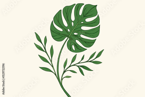 Monstera deliciosa leaf and botanical branches vector illustration. Exotic tropical plant drawing. Hand-drawn Swiss cheese plant foliage for wall art, print and design element.
