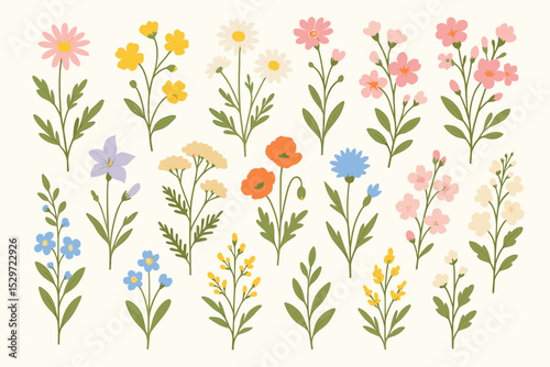 Set of cute summer wildflowers vector illustration. Big collection of hand drawn botanical floral elements. Garden meadow flowers like poppy, daisy, cornflower for design decoration.
