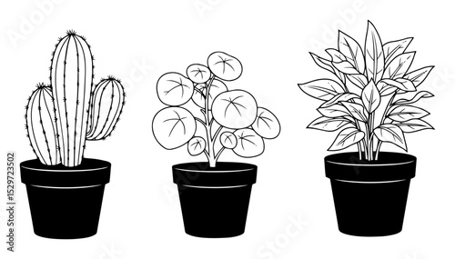 potted indoor plants illustration collection