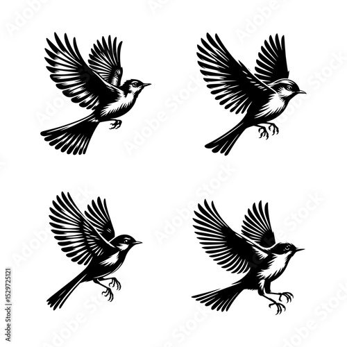 Ash-throated Flycatcher Bird Silhouette Set Flying – Vector Illustration of Wild Bird in Motion