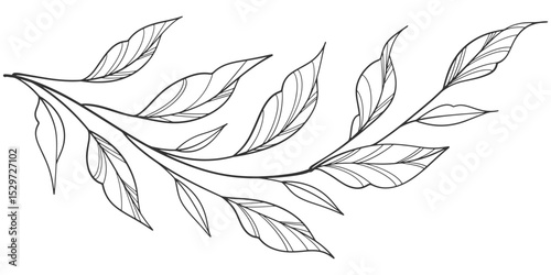 floral leaves line art isolated on white background. Divider doodle leaf and flowers, nature border decorative element vector illustration