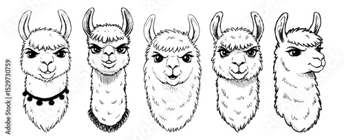 set of llama faces with different expressions vector