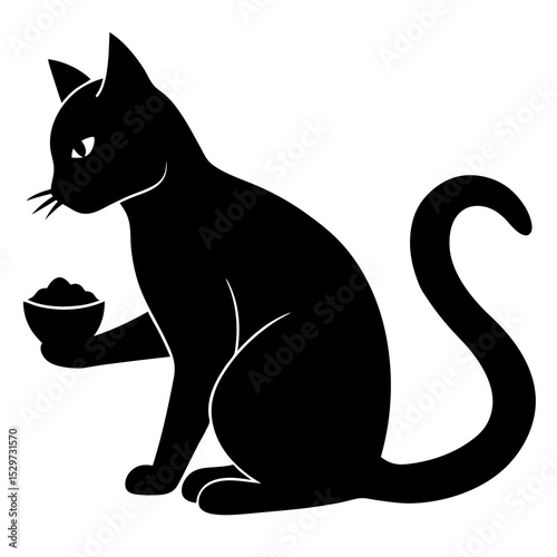 black and white cat  on white background  .