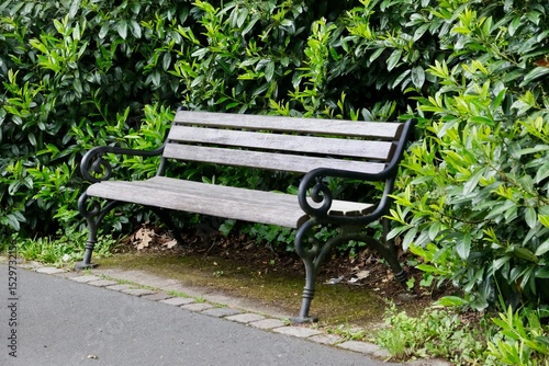 Fototapeta Naklejka Na Ścianę i Meble -  Vintage park bench. An empty bench in the park.