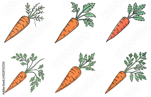 Carrot Vector Designs Wholesome and Creative Vegetable Illustrations for Any Project