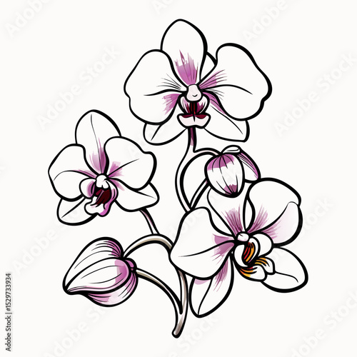 Elegant White and Purple Orchid Flower Illustration