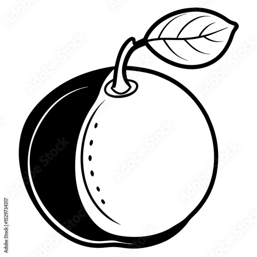 Sapodilla line art vector