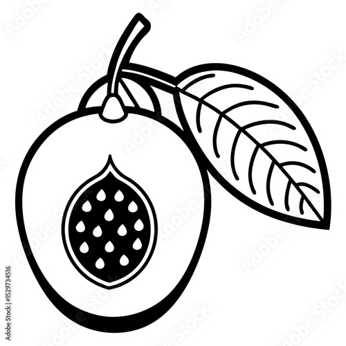 Sapodilla line art vector