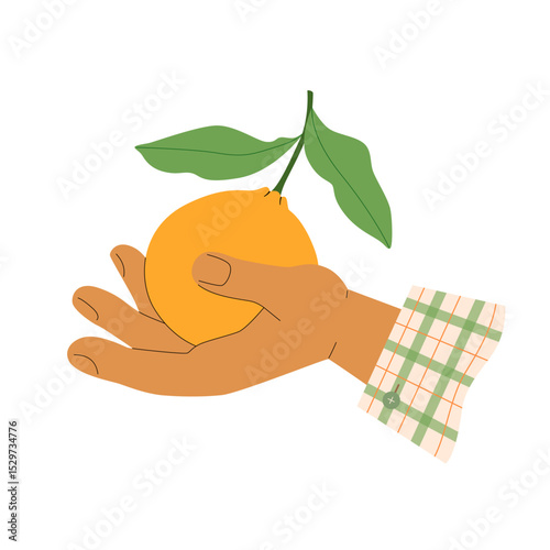 Female hand with cuff of shirt in cage holds ripe fresh orange with leaves in palm of his hand. Cute vector illustration of label design for jam, farm harvest, gardening.