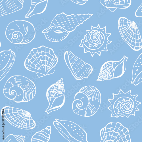 Shells seamless pattern. Hand drawn seashells on blue background.