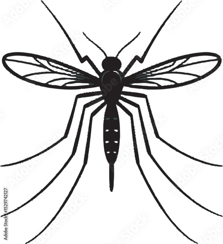Black Mosquito Insect Illustration Top View white background