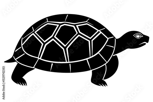 Black and white silhouette of a tortoise