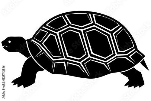 Stylized black tortoise silhouette illustration