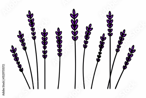 Elegant Lavender Flower Outline Vector Collection – Minimal Botanical Line Art

