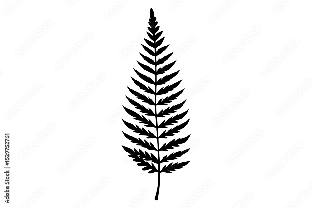 Elegant Fern Leaf Silhouette – Stylized Vector Illustration
Elegant Fern Leaf Silhouette – Stylized Vector Illustration