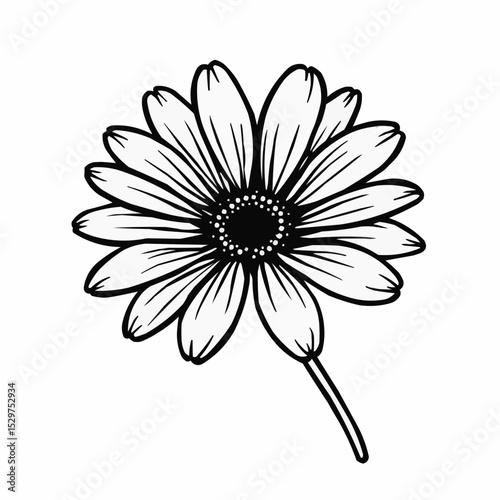 An elegant black and white drawing of a daisy