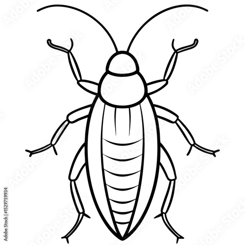 cockroaches line art vector