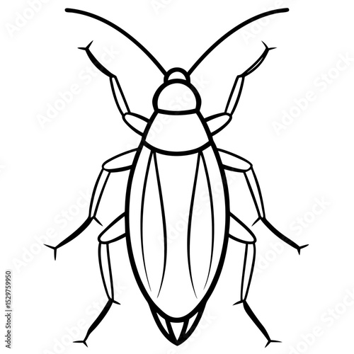 cockroaches line art vector