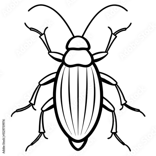 cockroaches line art vector