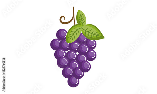vector illustration of grapes with leaves
