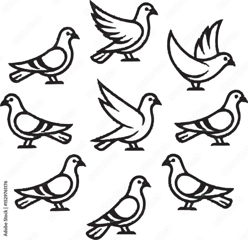 Fototapeta premium Nine Black and White Pigeon Illustrations Circular Arrangement
