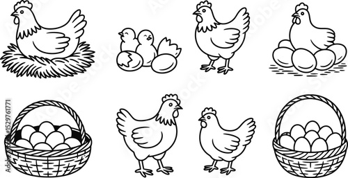 Chicken and eggs vector illustration set hen chicks basket farm poultry easter outline drawing line art 100 editable stock vector illustration