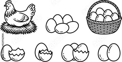 Chicken eggs illustration vector graphic farm fresh organic easter eggs outline drawing line art design 100 editable stock vector illustration