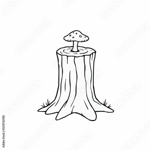 Mushroom on a tree stump.
