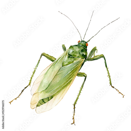 Aphid, watercolor illustration vector, isolated on a white background.