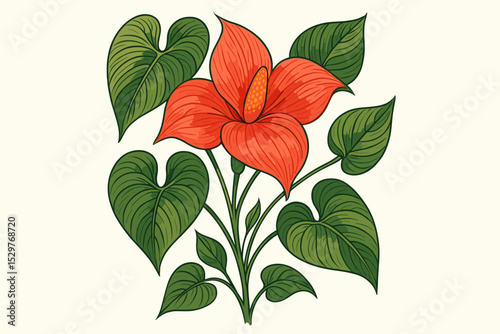 Red Anthurium flower vector illustration with heart shaped leaves. Tropical botanical drawing of flamingo flower. Exotic plant art isolated for floral design and decoration.