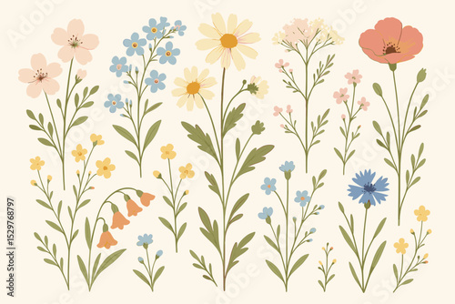 Hand drawn summer wildflowers set. Botanical vector collection of blooming meadow flowers. Vintage floral illustration with daisy, poppy, forget-me-not and cornflower elements.