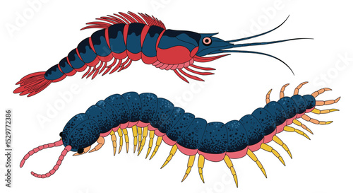 Diverse Aquatic Arthropods A Glimpse into the World of Water Living Creatures