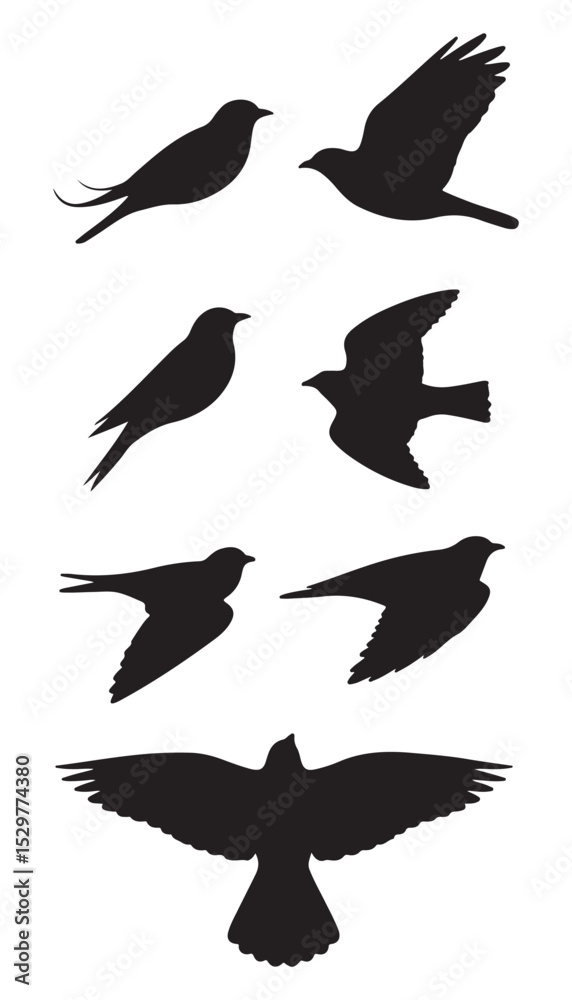Fototapeta premium set of silhouettes of birds