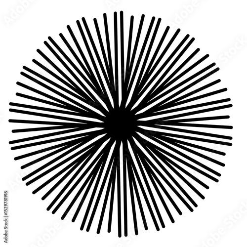 Black Burst on white