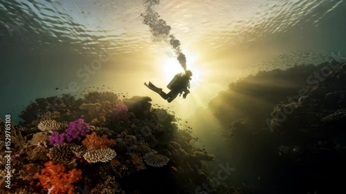 Scuba Diver Silhouetted by Sunbeam in Vibrant Coral Reef - A scuba diver is silhouetted against a radiant sunbeam penetrating the ocean's surface