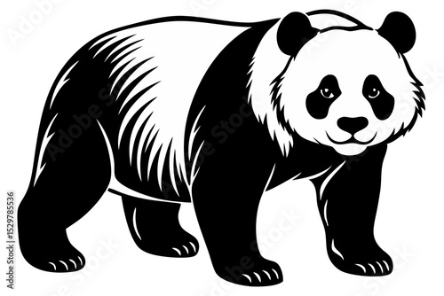 Majestic Giant Panda Black and White Illustration