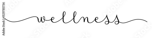 WELLNESS vector brush calligraphy banner on white background