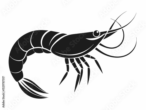Black and White Shrimp Illustration