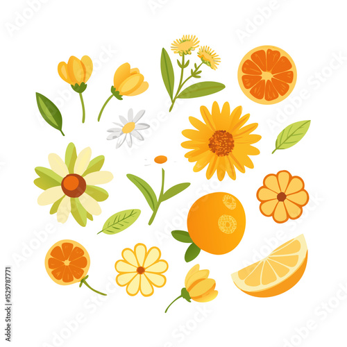 Vibrant orange slices and yellow flowers design elements