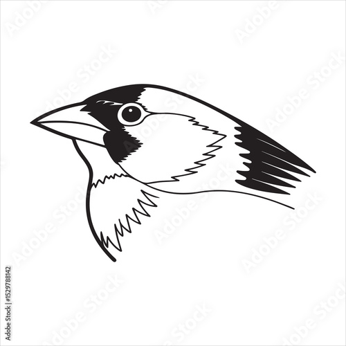 Western Tanager Bird – Vivid North American Songbird in Natural Habitat photo