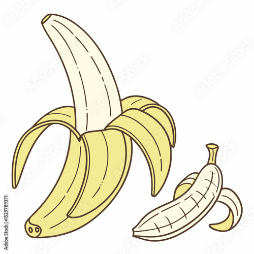 Partially peeled banana and banana peel illustration