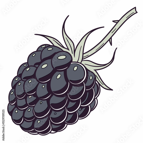 Single ripe blackberry with stem and leaves illustration