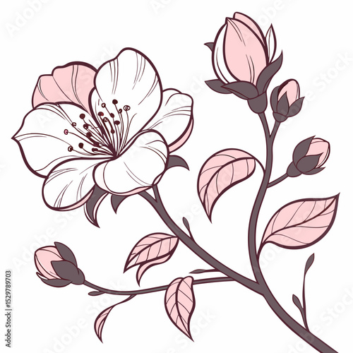 Delicate pink blossom branch spring floral illustration