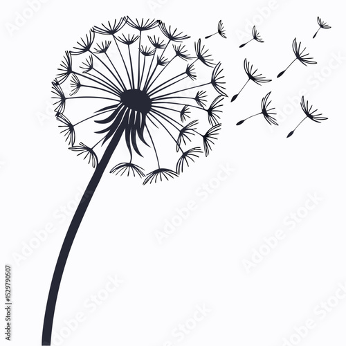 Dandelion seeds blowing in the wind black and white illustration
